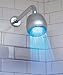 Hog Wild Temperature Controlled Shower Light