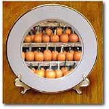 All Those Pumpkins - 8 Inch Porcelain Plate