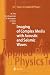 Books : Imaging of Complex Media with Acoustic and Seismic Waves (Topics in Applied Physics)