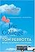 Joe College