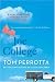 Joe College: A Novel
