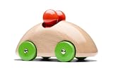 Organic Streamliner Rally Car