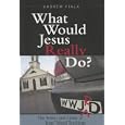 What Would Jesus Really Do?: The Power and Limits of Jesus' Moral Teachings by  Andrew Fiala