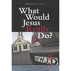 Click here to buy What Would Jesus Really Do?: The Power and Limits of Jesus' Moral Teachings by  Andrew Fiala.