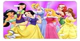 Disney Princess License Plate Sign 6'' x 12'' New Quality Aluminum