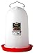 Little Giant 3 Gallon Poultry Waterer  7906