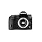 Photograph Birds with Olympus Equipment