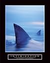 Intimidation Shark Fin Funny Motivational Poster/Print