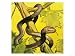 Black Mamba Art Giclee Poster Print by English School, 24x18