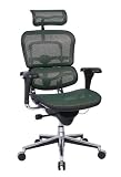Eurotech Ergohuman Mesh Ergonomic Chair w/ Headrest