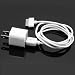 iPhone 3G, 3GS, 4 USB Wall Adapter Charger with USB to Dock Connector cable