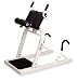 Teeter Dex XL Decompression and Extension Machine