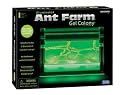 Ant Farm Gel Colony with LED