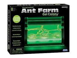 Uncle Milton Illuminated Ant Farm Gel Colony