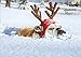 Bulldog Reindeer Box of 10 Funny/Humorous Dog Christmas Cards
