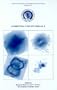 Asymmetrical Planetary Nebulae III: Winds, Structure and the Thunderbird: Conference Held 28 July-1 August at Mt. Rainer, Washington, USA (Astronomical Society of the Pacific Conference Series)