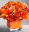 Flowers by 1800Flowers - Colors of Love - Orange - Large