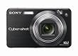 Sony Cybershot DSCW170/B 10.1MP Digital Camera with 5x Optical Zoom with Super Steady Shot (Black)