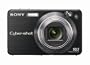 Sony Cybershot DSCW170/B 10.1MP Digital Camera with 5x Optical Zoom with Super Steady Shot (Black)