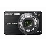 Sony Cybershot DSCW170/B 10.1MP Digital Camera with 5x Optical Zoom with Super Steady Shot (Black)