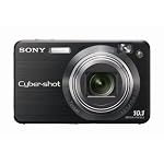 Sony Cybershot DSCW170/B 10.1MP Digital Camera with 5x Optical Zoom with Super Steady Shot (Black)
