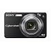 Sony Cybershot DSCW170/B 10.1MP Digital Camera with 5x Optical Zoom with Super Steady Shot (Black)