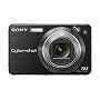 Sony Cybershot DSCW170/B 10.1MP Digital Camera with 5x Optical Zoom with Super Steady Shot (Black)