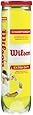 Wilson Championship Extra Duty Tennis Ball (4 Ball Can)
