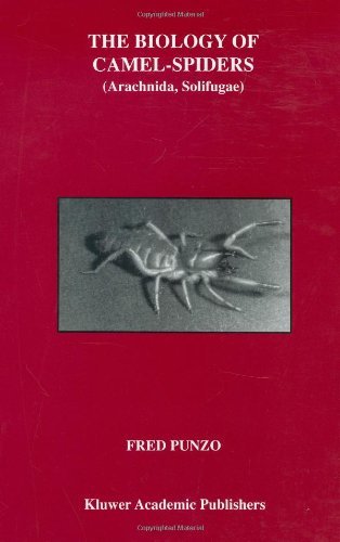The Biology of Camel-Spiders: Arachnida, Solifugae