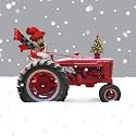 Home For Christmas Jack Russell Christmas Cards Pack