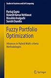 Fuzzy portfolio optimization : advances in hybrid multi-criteria methodologies