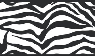 Girly Glam Black Zebra Wallpaper Border
