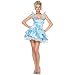 Cinderella Sexy Adult Costume