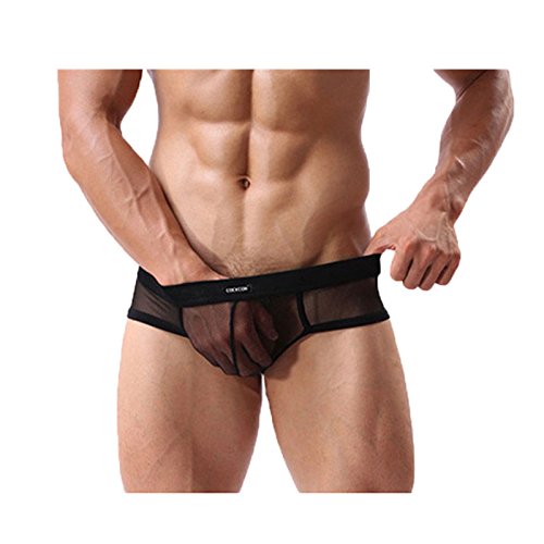 Men's See-through Mesh Underwear Male Nylon Breathable Triangle Briefs Black Size M