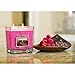 Harry and David 16-Ounce Jar Candle, Large, Chocolate Raspberry