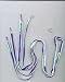 New Shoelaces (Shoe Laces) Seattle Seahawks NFL Football