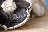 IMAGE OF Wallmonkeys Peel and Stick Wall Decals - Portobello Mushroom - 72