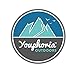 Hammock Straps by Youphoria Outdoors - 2 Straps - 12 Point Daisy Chain Design with Easy Loop + Pull Setup! Holds up to 400 lbs (200 lbs each) - Quality and Strength Tested! 100% Satisfaction Guarantee