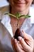 Wallmonkeys Peel and Stick Wall Decals - Businesswoman with Plant - Removable Graphic