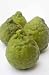 Kaffir Limes Isolated against a White Background - 24