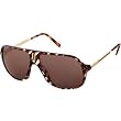 Carrera Safari/O/S Adult Aviator Full Rim Sports Sunglasses w/ Free B&F Heart Sticker Bundle - Dark Havana Striped/Red Brown