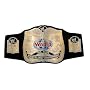 WWE Title Belt - ECW World Championship Belt
