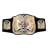 WWE Title Belt - ECW World Championship Belt