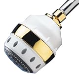 Watts 107099 Royale All-In-One Shower Filter, Gold