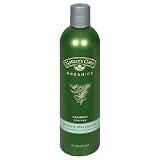 Natures Gate Organics Shampoo,Tea Tree Oil & Blue Cypress, 12 fl oz bottles, (Pack of 3)