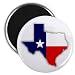 TEXAS Flag 2.25 inch Fridge Magnet