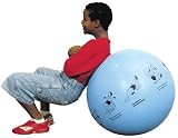 ExerBalls (Comes in Strengthening Ball or Stretching Ball)