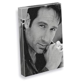 DAVID DUCHOVNY - Canvas Print (LARGE A3 - Signed by the Artist) #js002