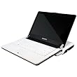 GIGABYTE M1305 BookTop 13.3" LCD Ultra Thin & Light / SU7300 1.3 Ghz / Window 7 / 1366x768 / 4G DDR III / 500GB HDD / 6 Cell / HDMI / Media Docking Station With GeForce GT220 DDRIII 1GB VGA Card