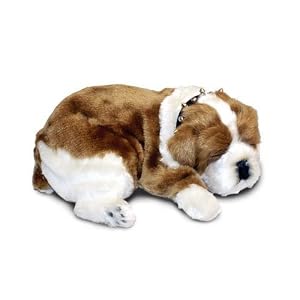 Perfect Petzzz Bully Bulldog